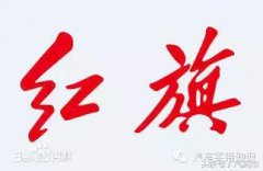 这批车由于没有得到上市销售的准入证